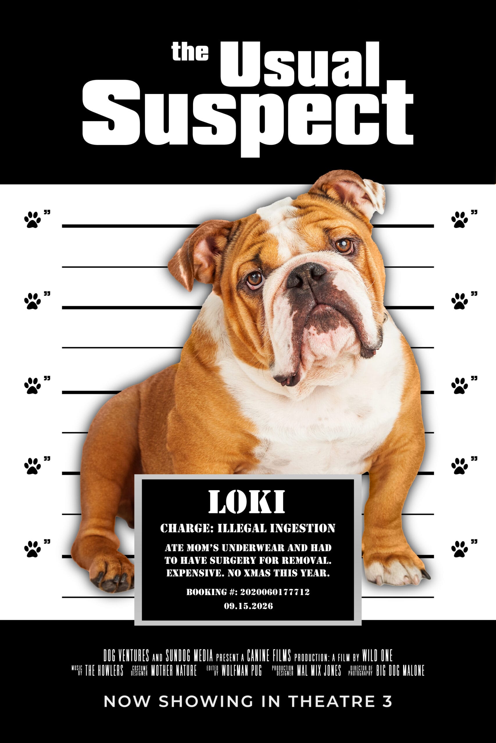 The Usual Suspect poster: a bulldog mugshot